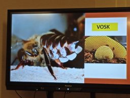 medove snidane v ms15